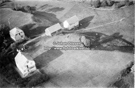 Hausten1954, Hareid