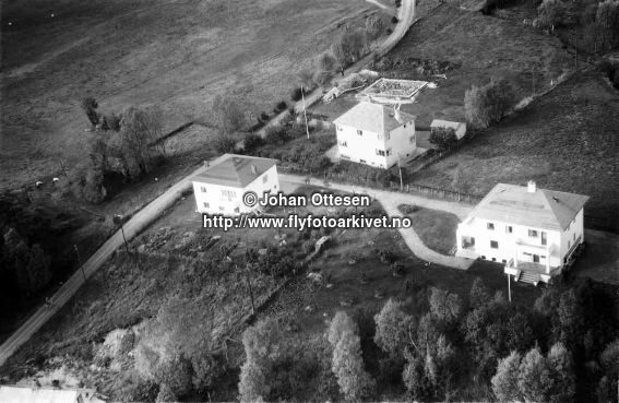 Hausten1954, Hareid