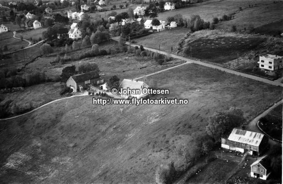 Hausten1954, Hareid