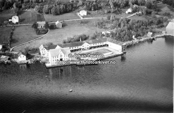Hausten1954, Hareid