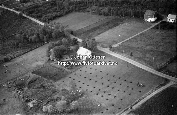 Hausten1954, Bigset