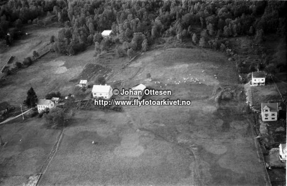 Hausten1954, Håbakkane