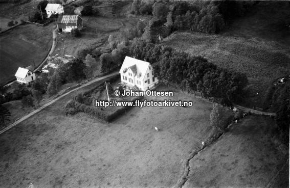 Hausten1954, Teigane