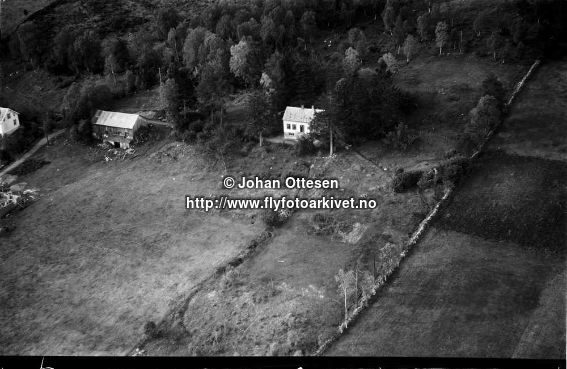 Hausten1954, Holstad