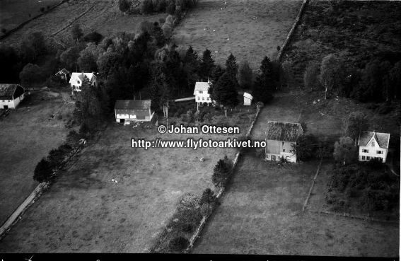 Hausten1954, Holstad