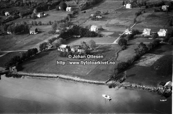 Hausten1954, Pilskogane
