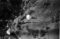 Hausten1954, Brandal