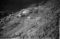 Hausten1954, Brandal