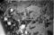 Hausten1954, Brandal