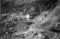 Hausten1954, Brandal