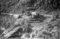 Hausten1954, Brandal