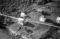 Hausten1954, Brandal