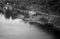 Hausten1954, Brandal