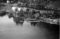 Hausten1954, Brandal