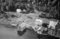 Hausten1954, Brandal