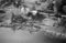 Hausten1954, Brandal