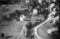 Hausten1954, Brandal