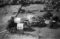 Hausten1954, Brandal