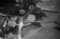 Hausten1954, Brandal