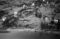 Hausten1954, Brandal