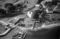 Hausten1954, Brandal