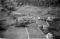 Hausten1954, Brandal