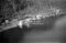 Hausten1954, Brandal