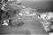 Hausten1954, Brandal