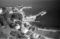 Hausten1954, Brandal