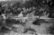 Hausten1954, Hareid