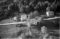 Hausten1954, Hareid