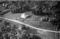 Hausten1954, Hareid