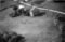 Hausten1954, Hareid