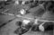 Hausten1954, Hareid