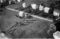 Hausten1954, Hareid