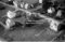 Hausten1954, Hareid