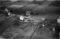 Hausten1954, Grimstad