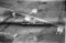 Hausten1954, Grimstad