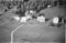 Hausten1954, Pilskogane