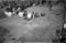 Hausten1954, Pilskogane