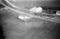 Hausten1954, Hareid