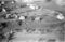 Hausten1954, Hareid