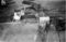 Hausten1954, Hareid