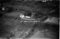 Hausten1954, Hareid