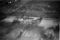 Hausten1954, Hareid