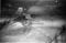 Hausten1954, Hareid