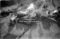 Hausten1954, Hareid