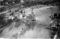 Hausten1954, Hareid