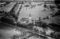 Hausten1954, Hareid