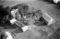 Hausten1954, Hareid
